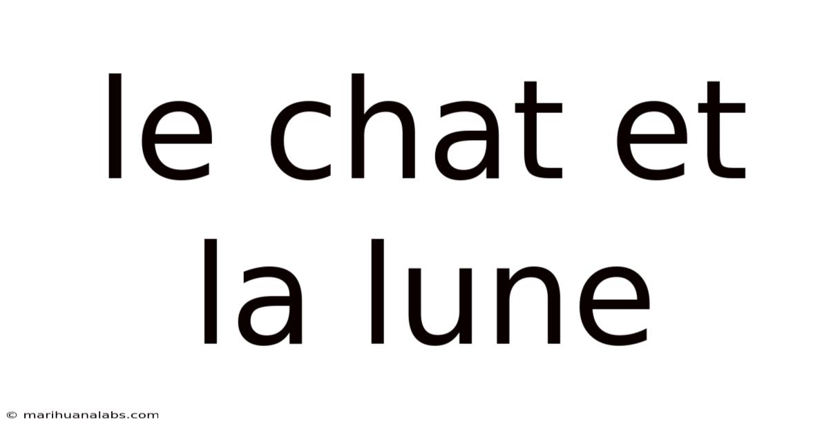 Le Chat Et La Lune