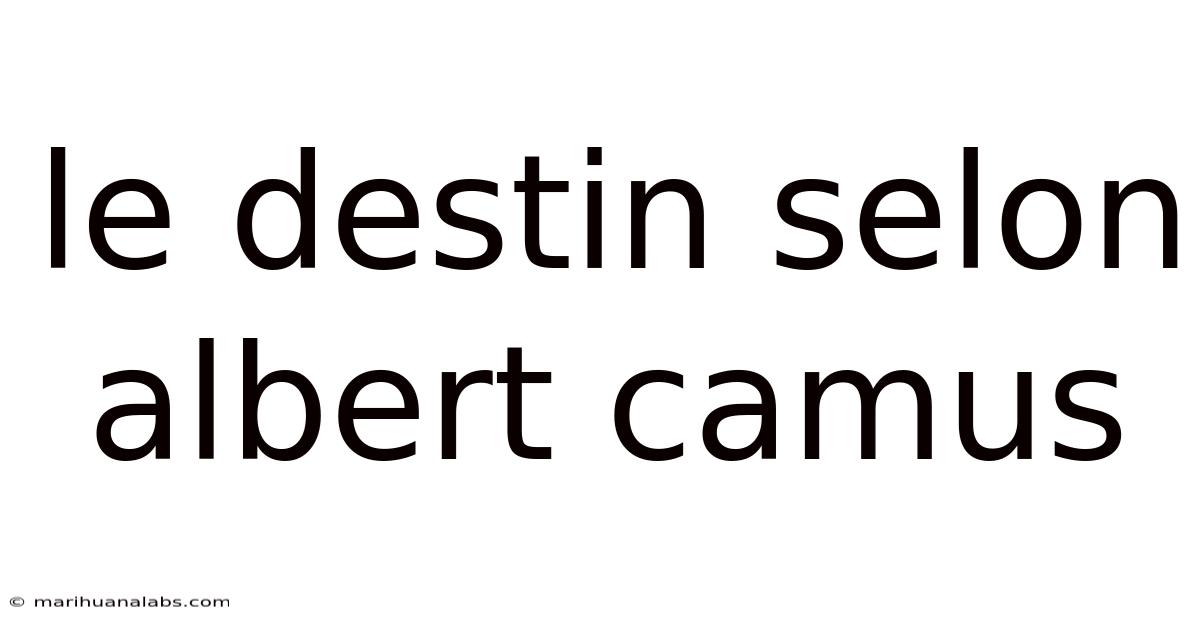 Le Destin Selon Albert Camus