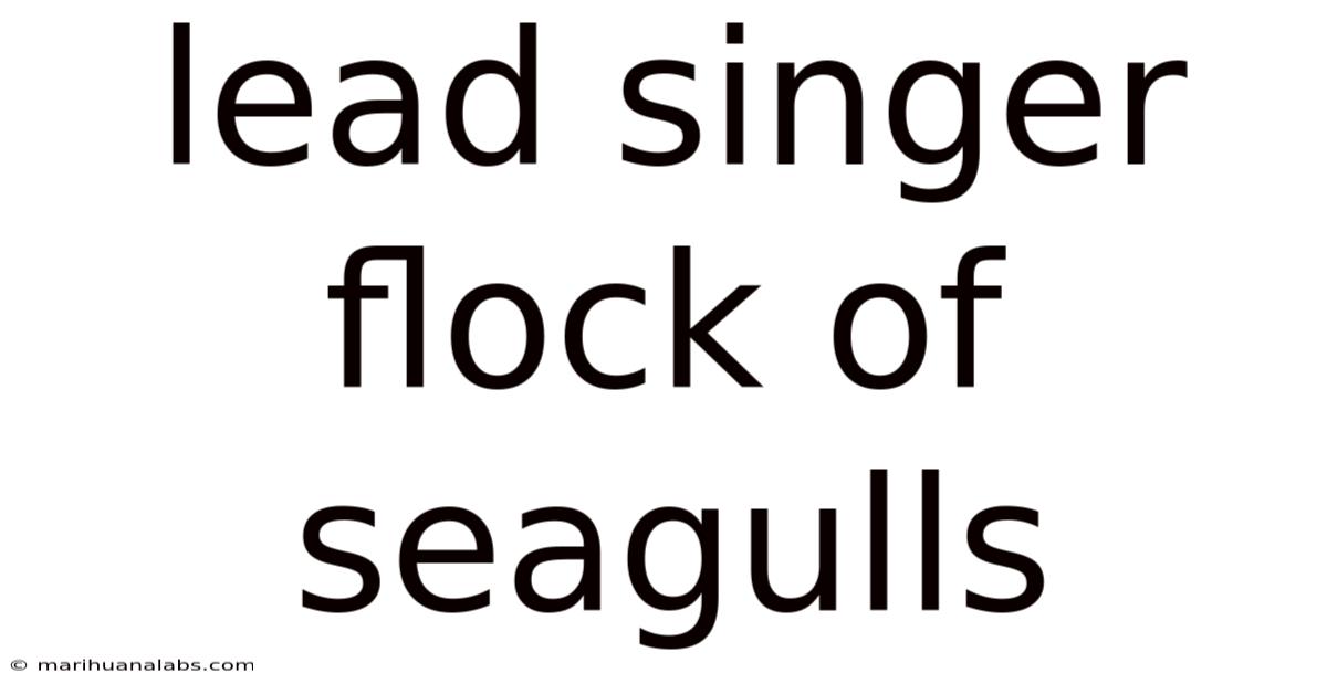 Lead Singer Flock Of Seagulls