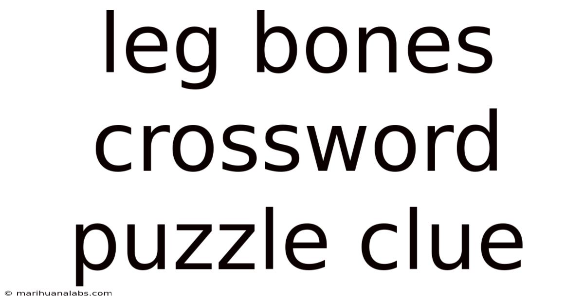 Leg Bones Crossword Puzzle Clue