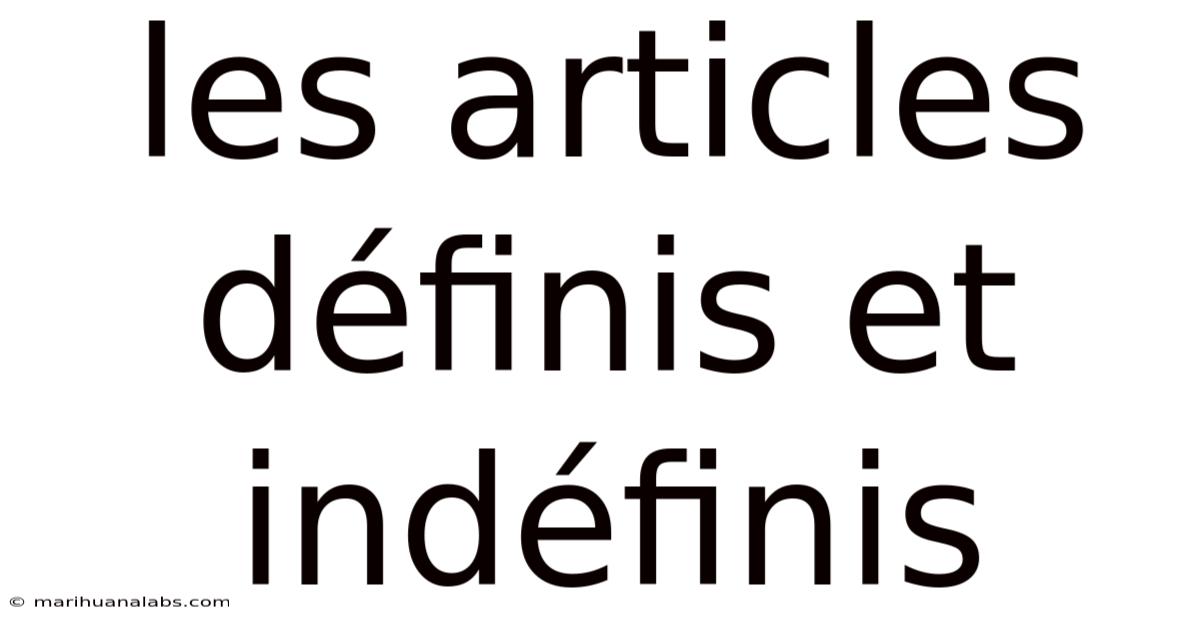 Les Articles Définis Et Indéfinis