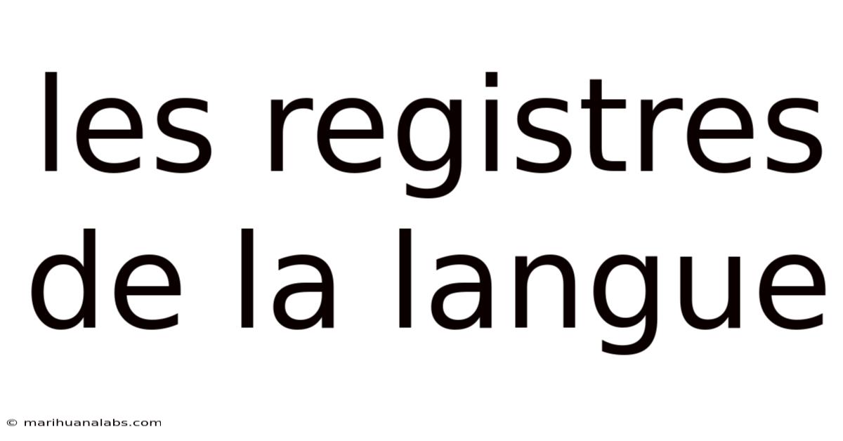 Les Registres De La Langue