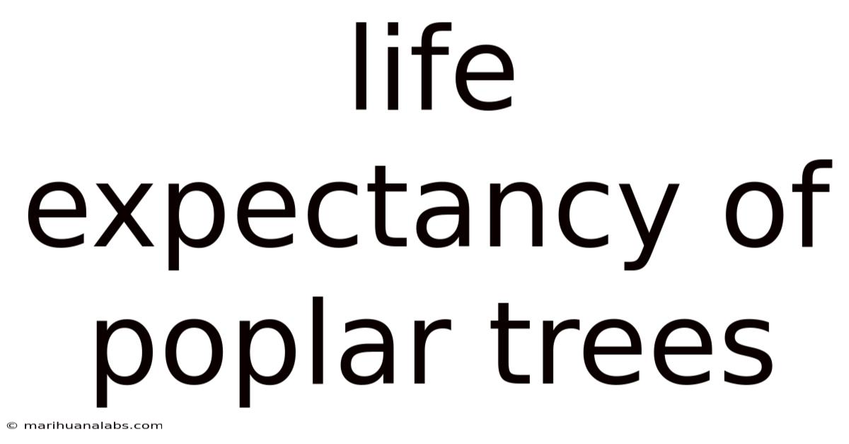 Life Expectancy Of Poplar Trees