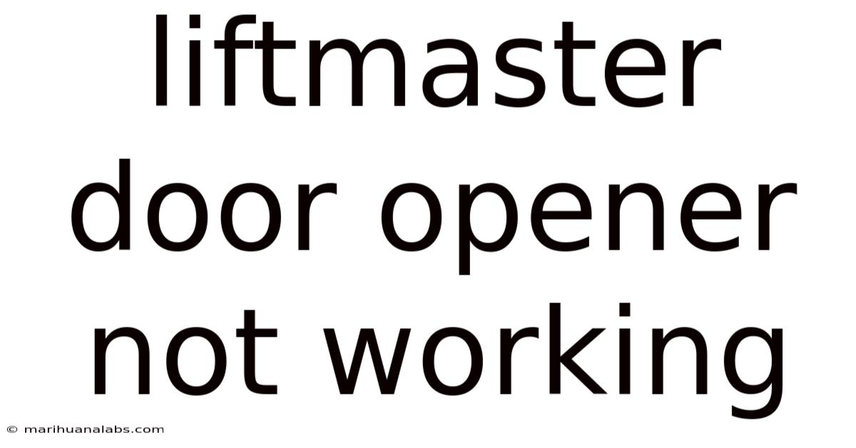 Liftmaster Door Opener Not Working