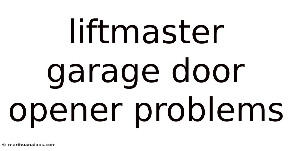 Liftmaster Garage Door Opener Problems