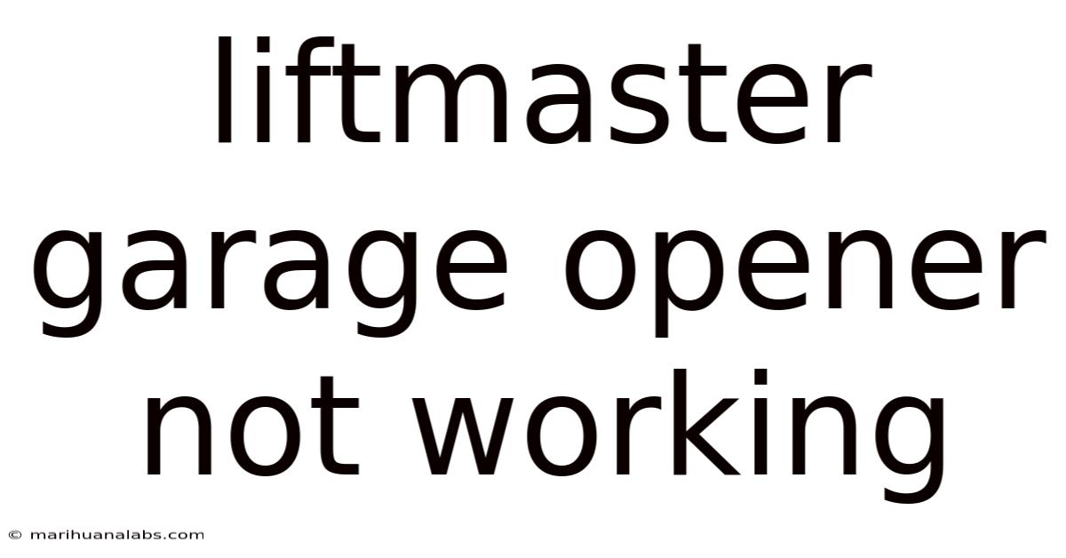 Liftmaster Garage Opener Not Working