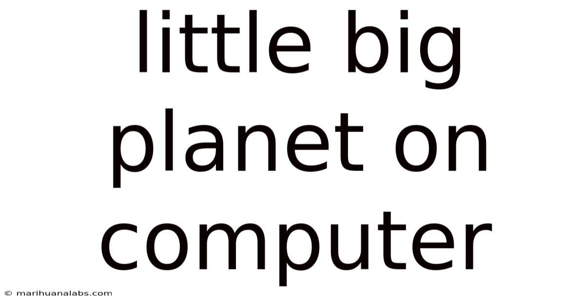 Little Big Planet On Computer