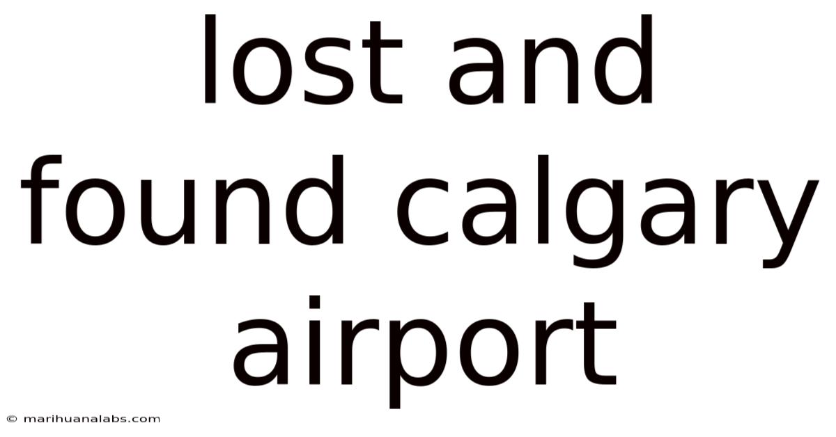 Lost And Found Calgary Airport