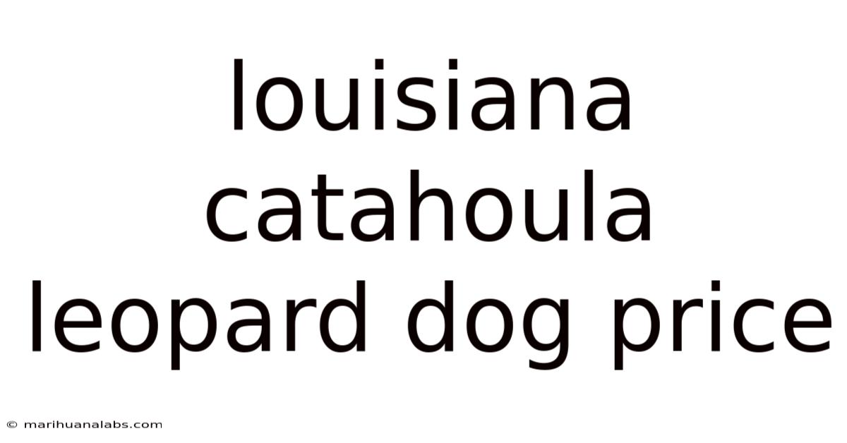 Louisiana Catahoula Leopard Dog Price