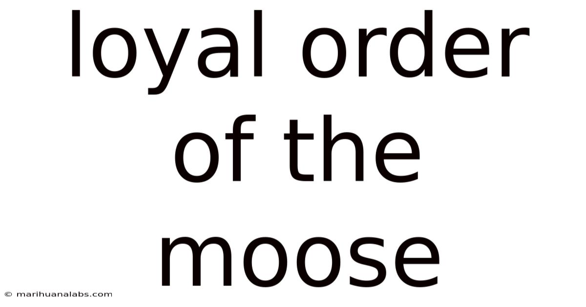 Loyal Order Of The Moose