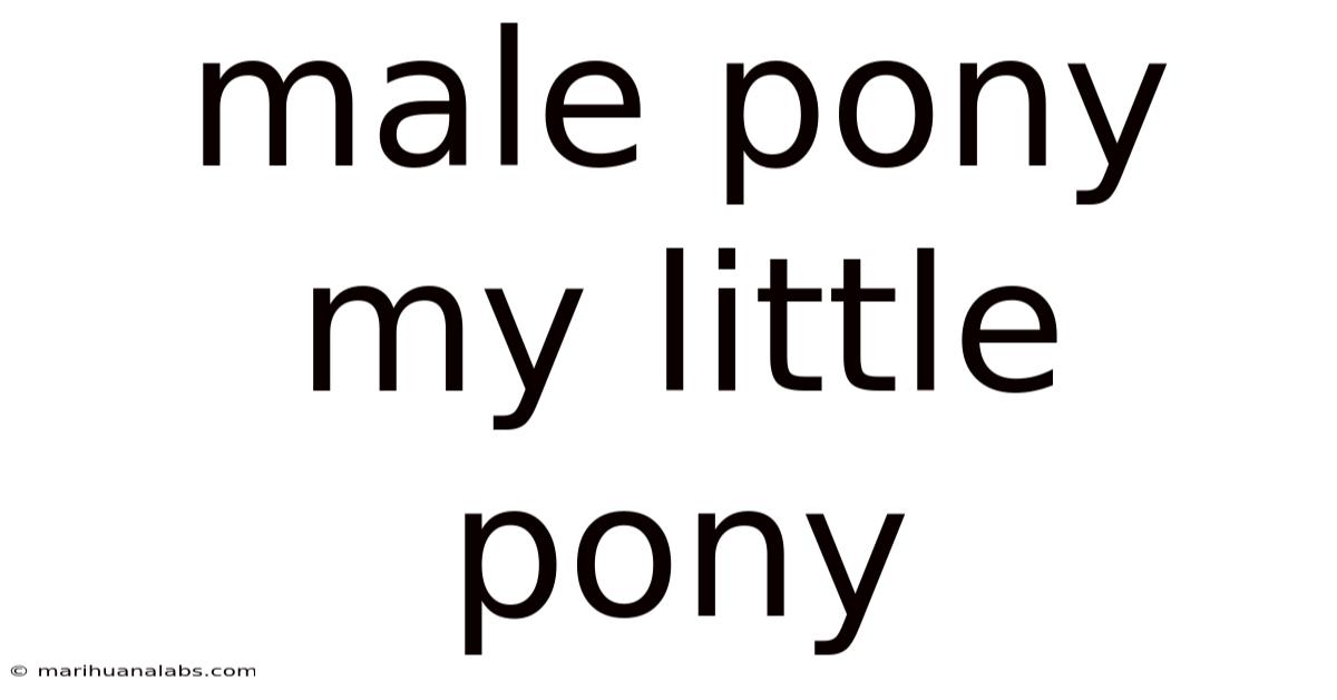 Male Pony My Little Pony