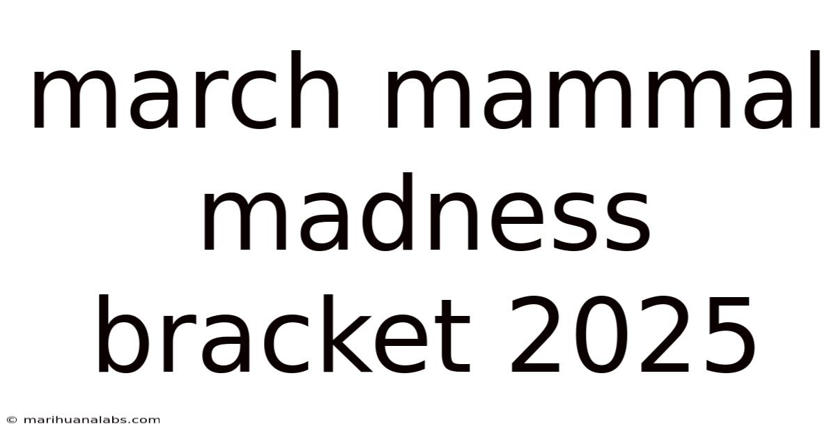 March Mammal Madness Bracket 2025