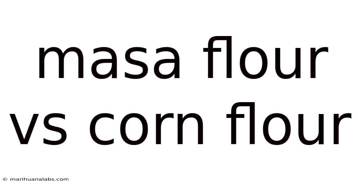 Masa Flour Vs Corn Flour