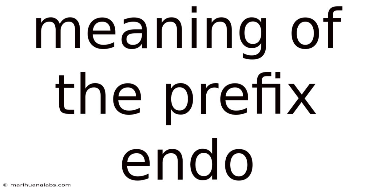 Meaning Of The Prefix Endo