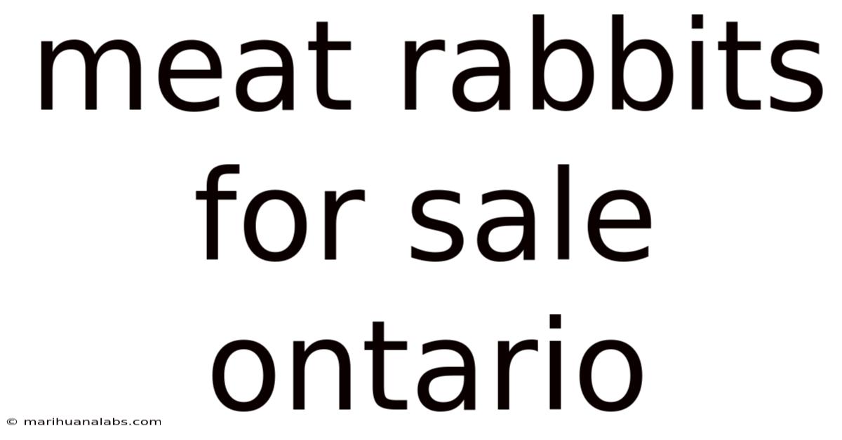 Meat Rabbits For Sale Ontario