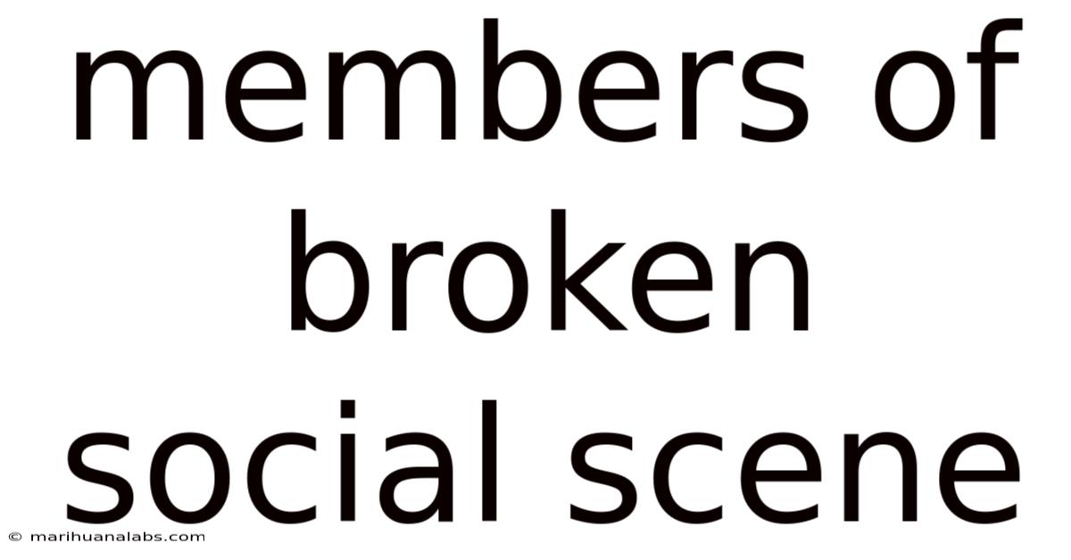 Members Of Broken Social Scene
