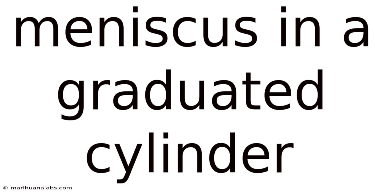 Meniscus In A Graduated Cylinder