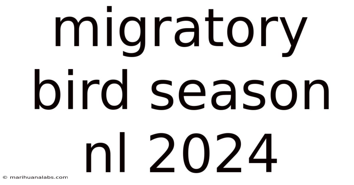 Migratory Bird Season Nl 2024