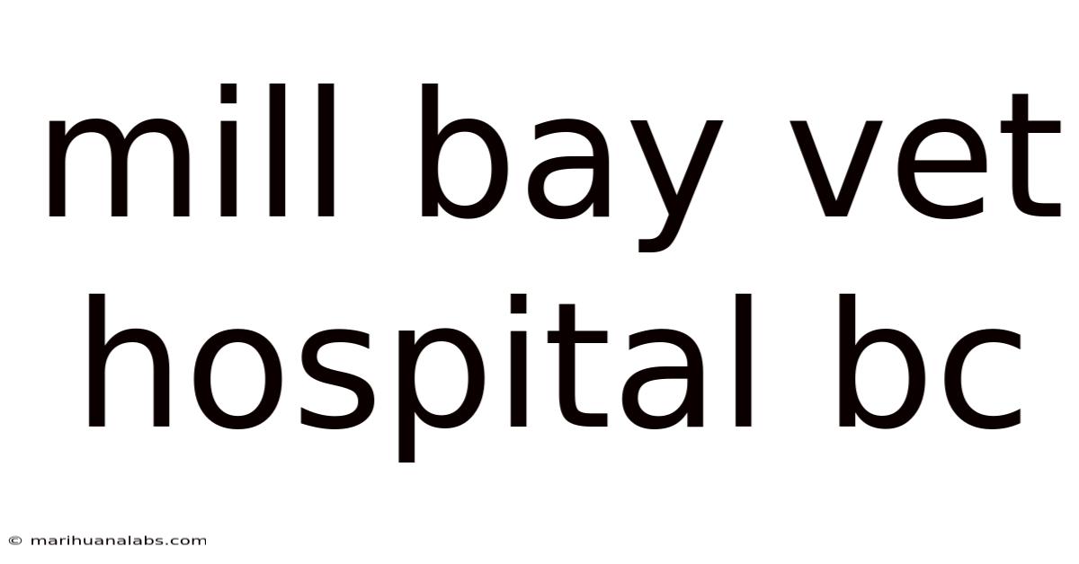 Mill Bay Vet Hospital Bc