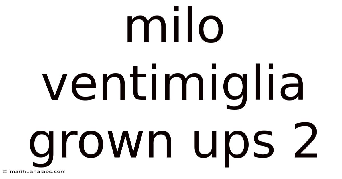 Milo Ventimiglia Grown Ups 2