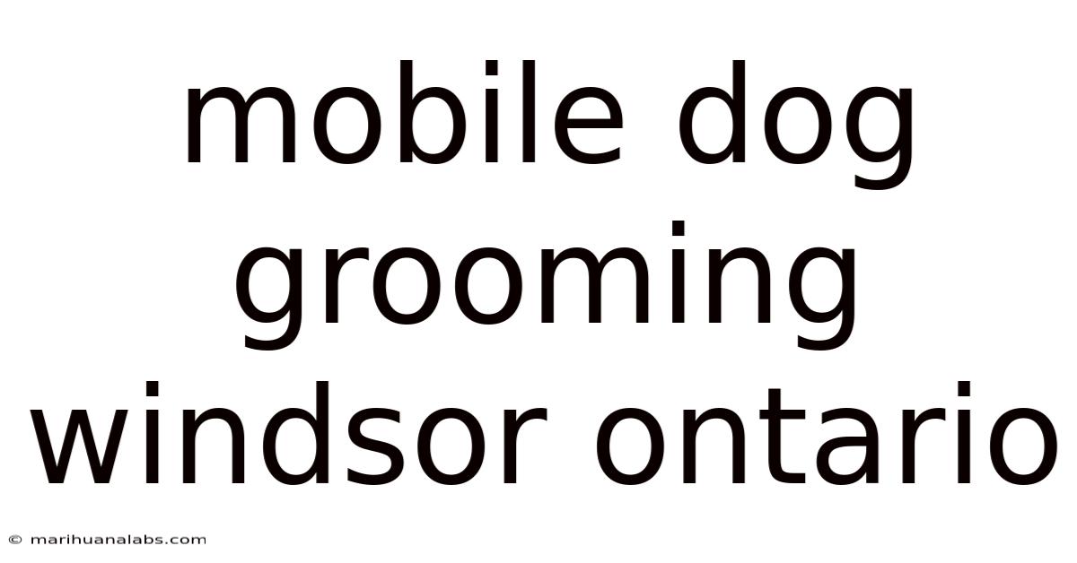 Mobile Dog Grooming Windsor Ontario