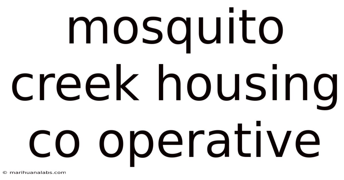 Mosquito Creek Housing Co Operative