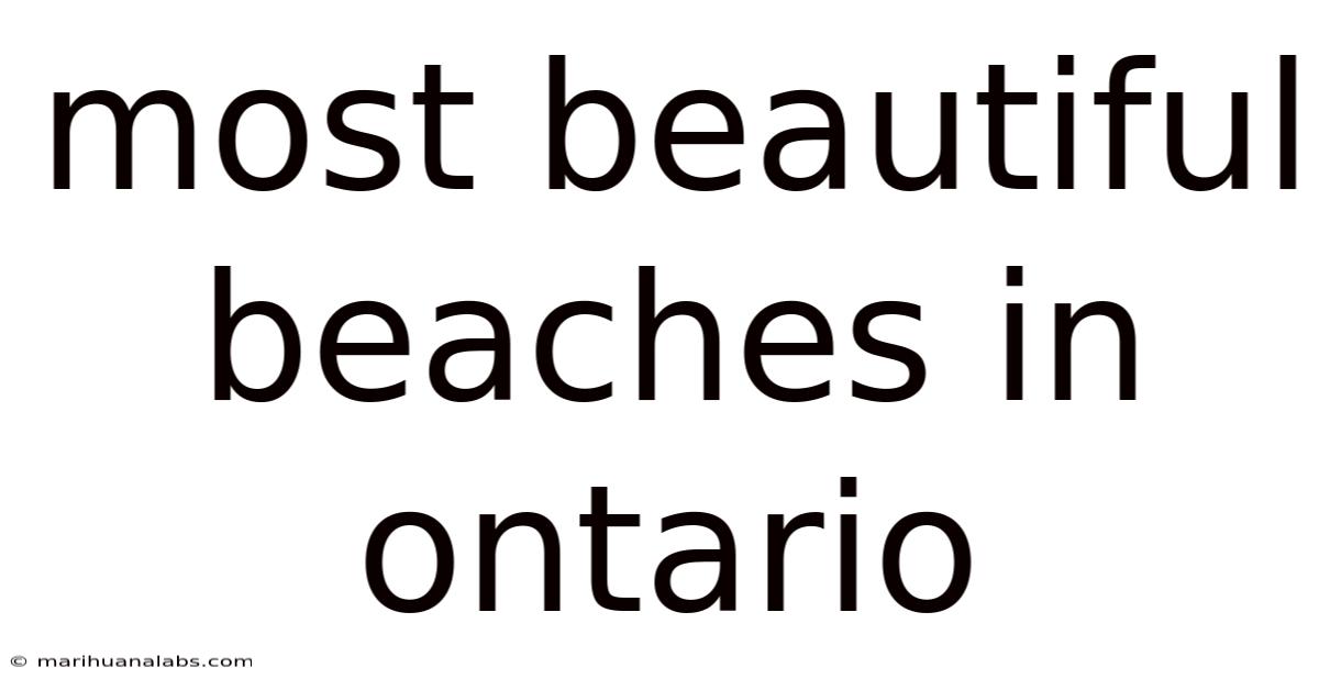 Most Beautiful Beaches In Ontario
