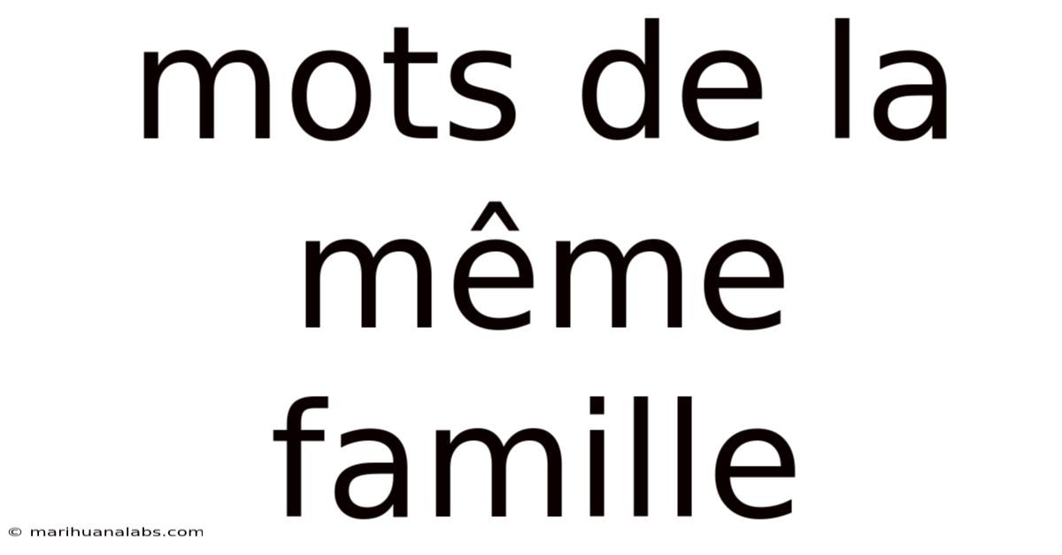 Mots De La Même Famille