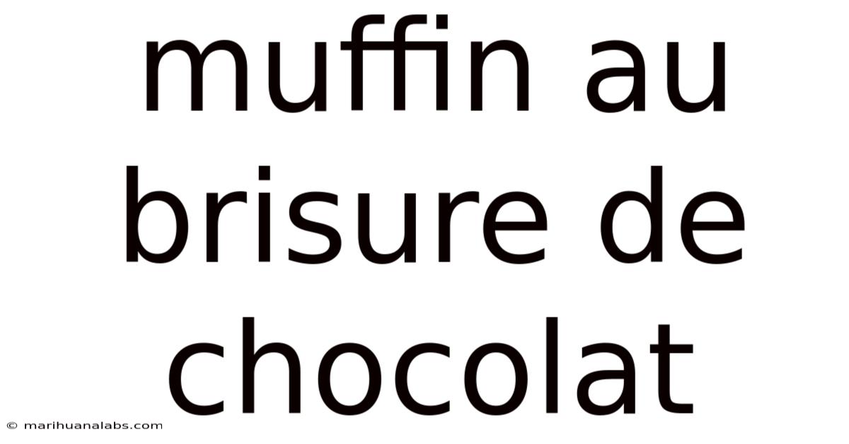 Muffin Au Brisure De Chocolat