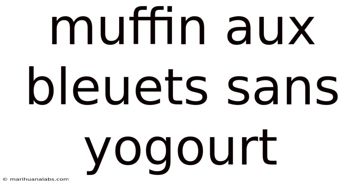 Muffin Aux Bleuets Sans Yogourt