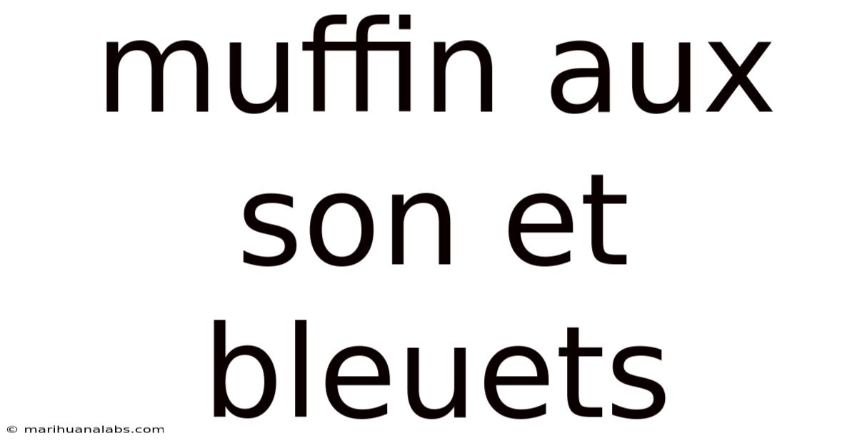 Muffin Aux Son Et Bleuets