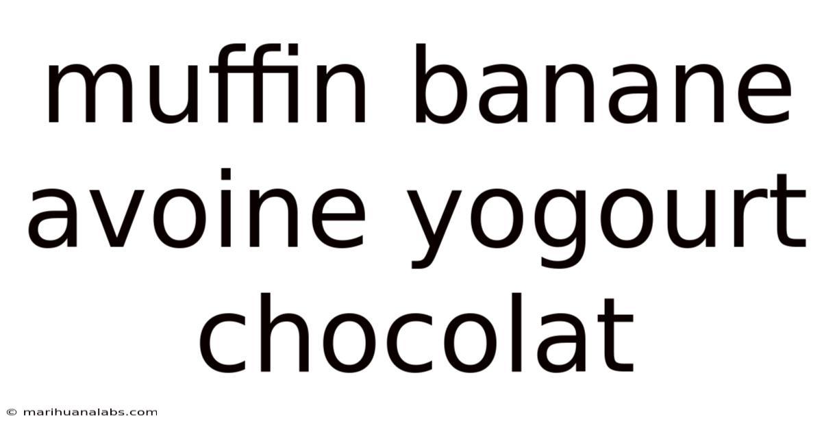 Muffin Banane Avoine Yogourt Chocolat
