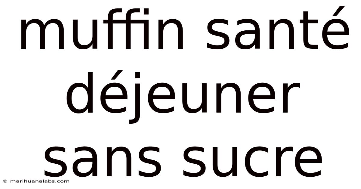 Muffin Santé Déjeuner Sans Sucre