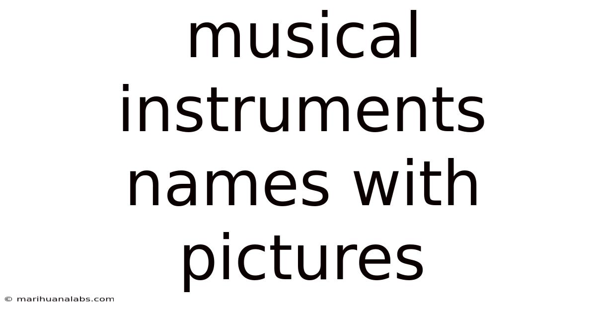 Musical Instruments Names With Pictures