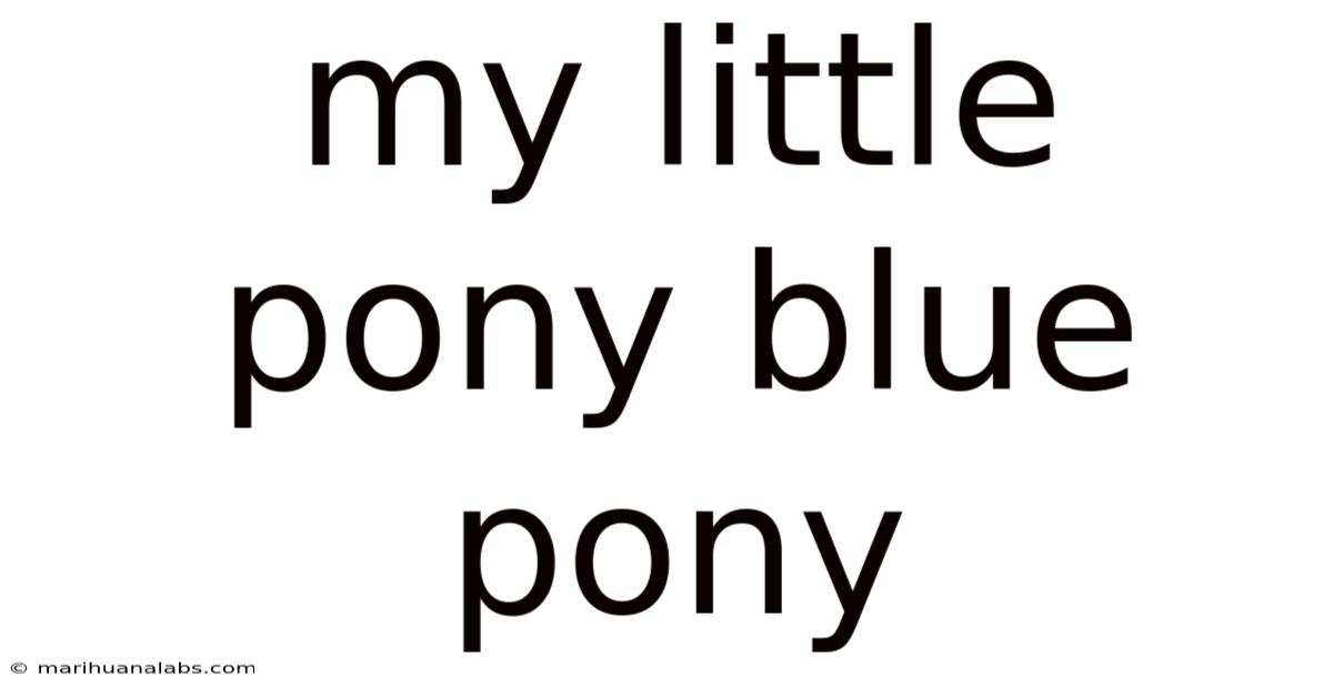 My Little Pony Blue Pony