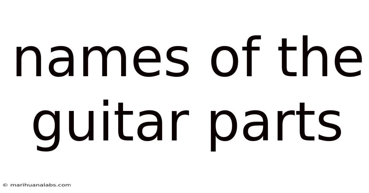 Names Of The Guitar Parts