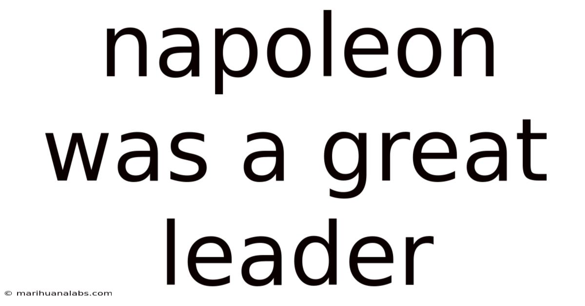 Napoleon Was A Great Leader