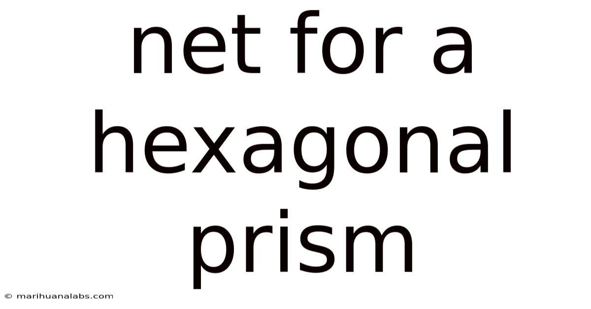 Net For A Hexagonal Prism