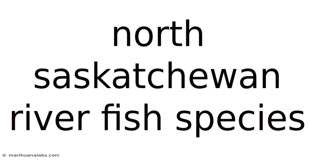 North Saskatchewan River Fish Species