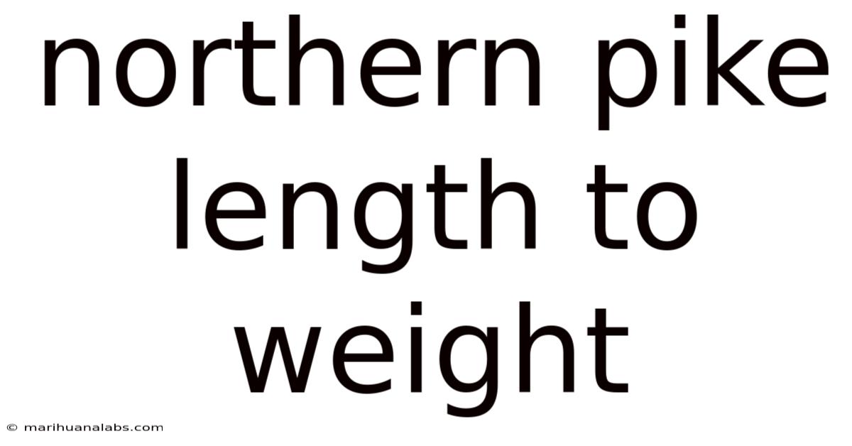 Northern Pike Length To Weight