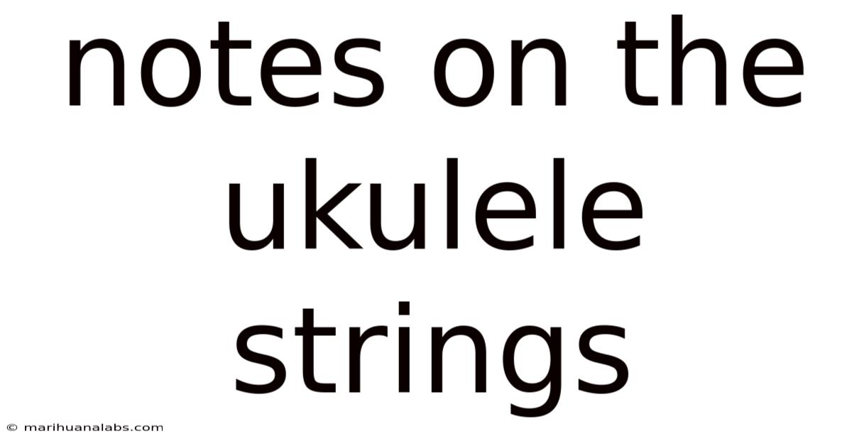 Notes On The Ukulele Strings