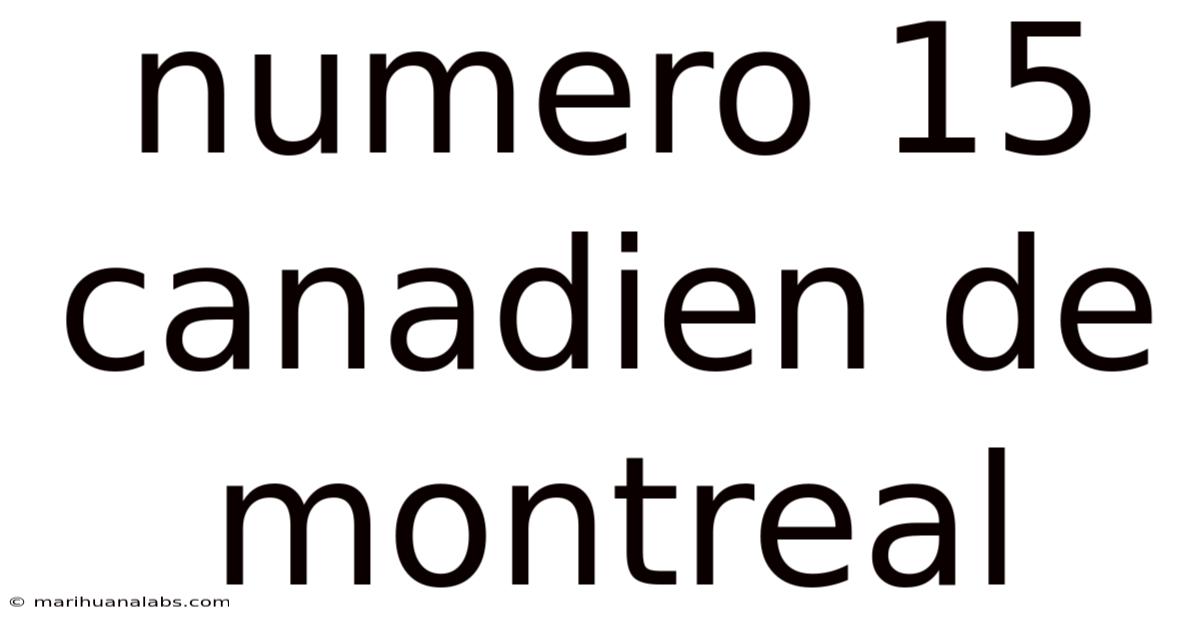 Numero 15 Canadien De Montreal