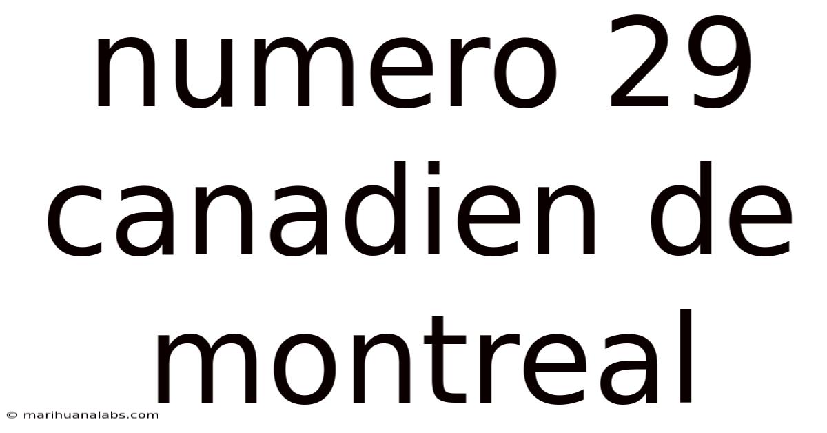 Numero 29 Canadien De Montreal