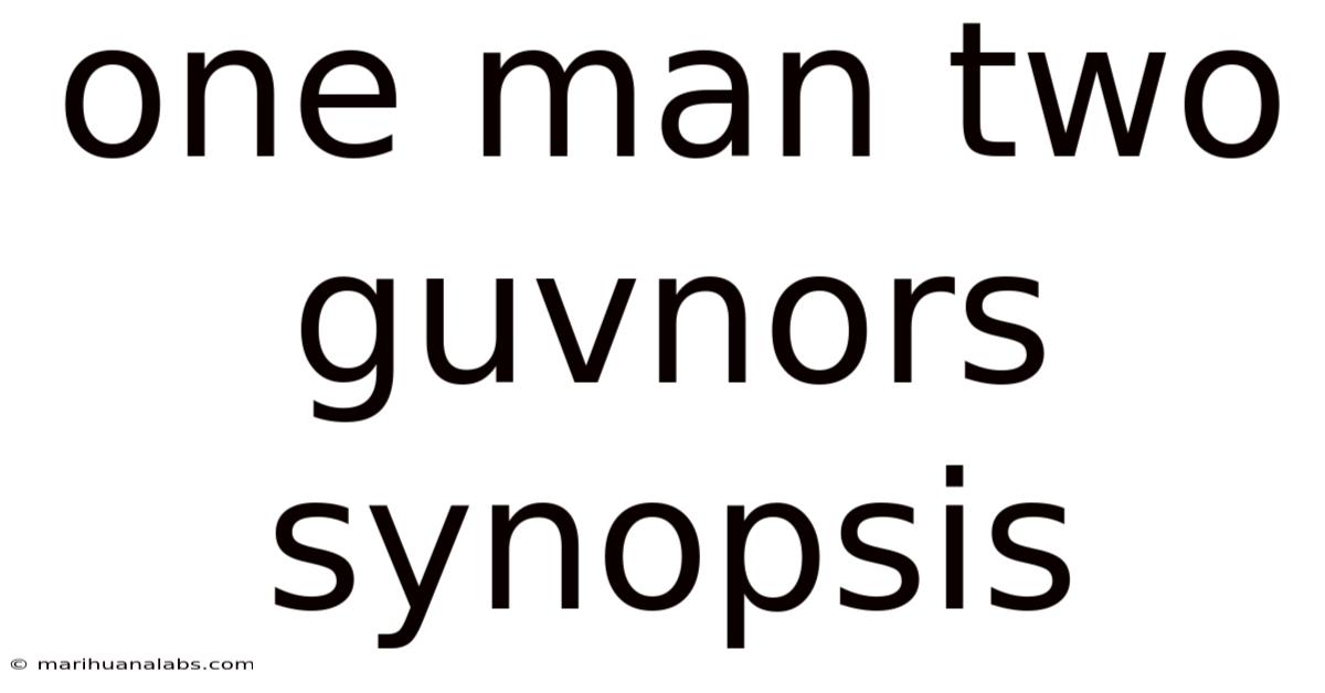 One Man Two Guvnors Synopsis