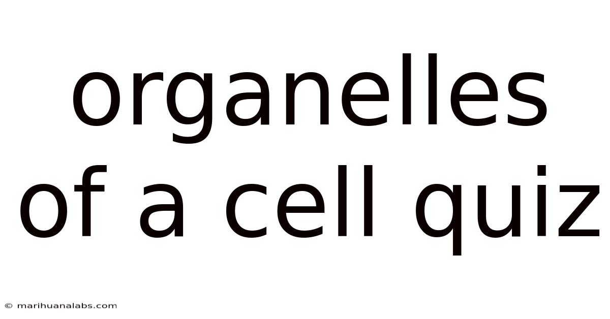 Organelles Of A Cell Quiz