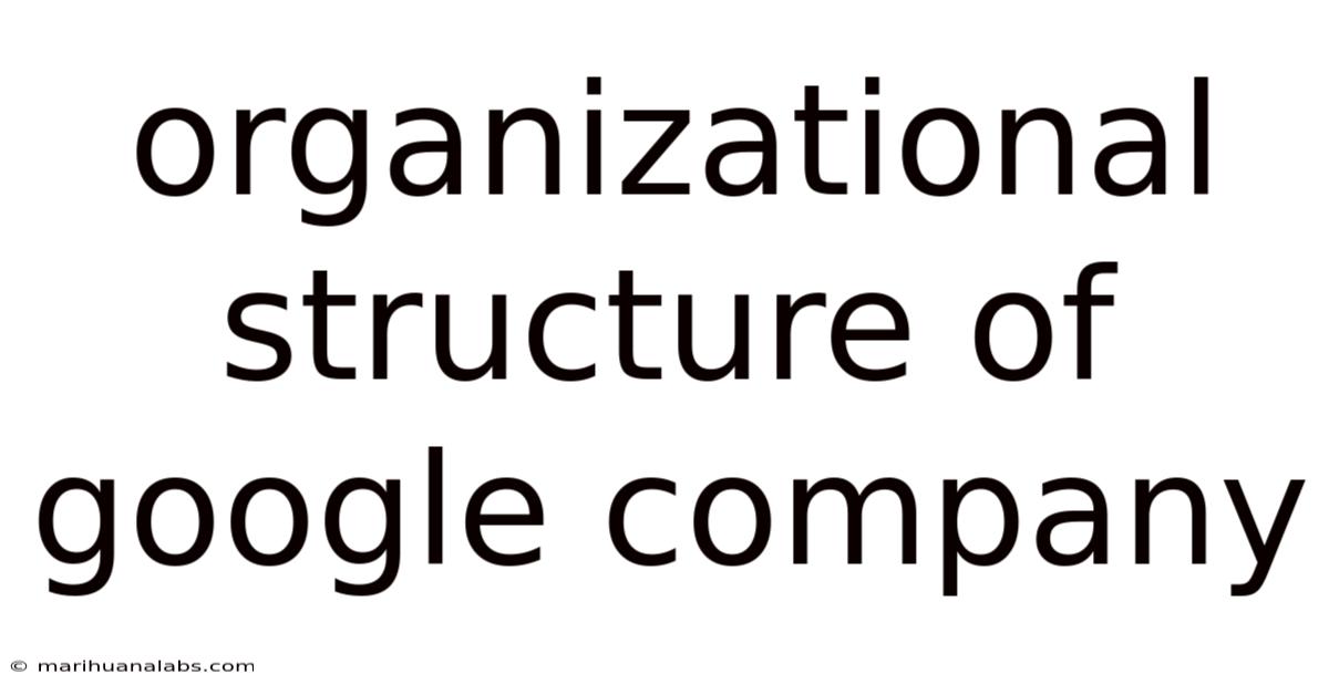 Organizational Structure Of Google Company