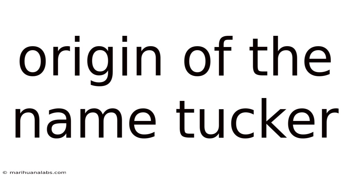 Origin Of The Name Tucker