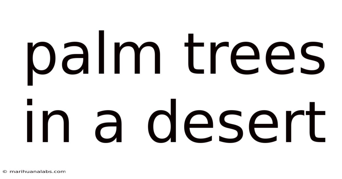 Palm Trees In A Desert