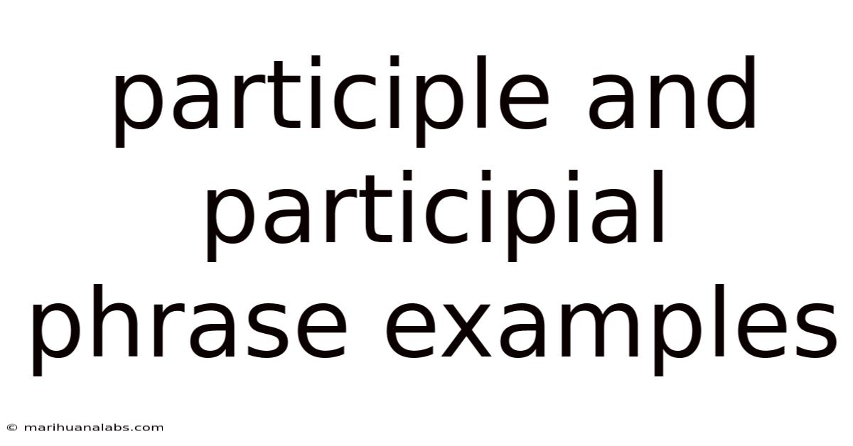 Participle And Participial Phrase Examples