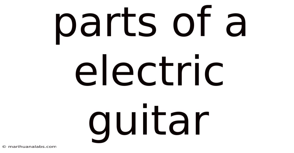 Parts Of A Electric Guitar